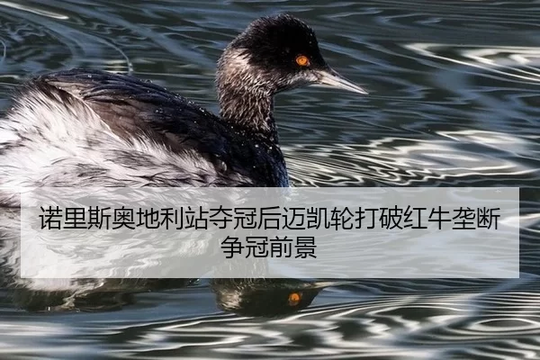 诺里斯奥地利站夺冠后迈凯轮打破红牛垄断争冠前景